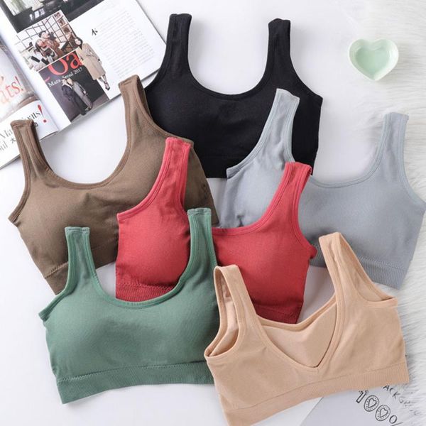 

women seamless gym bra sports bra fitness lady quick-drying underwear solid color female yoga running sport top, White;black