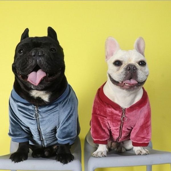 

pet popular brand autumn and winter new dog cotton-padded velvet baseball uniform law bucket bago fat dog new year thick christmas clothes