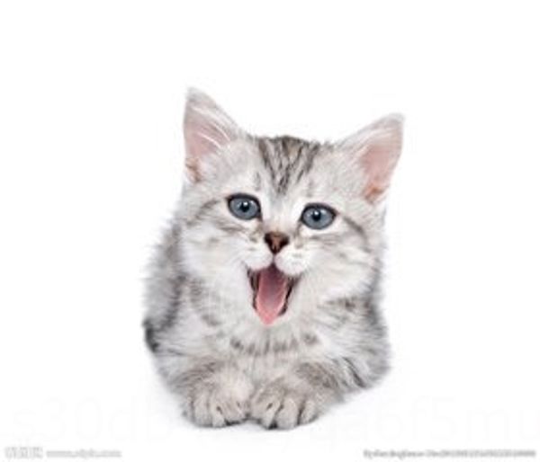 

children's cartoon student girl's children's cartoon student girl's watch watch, Blue