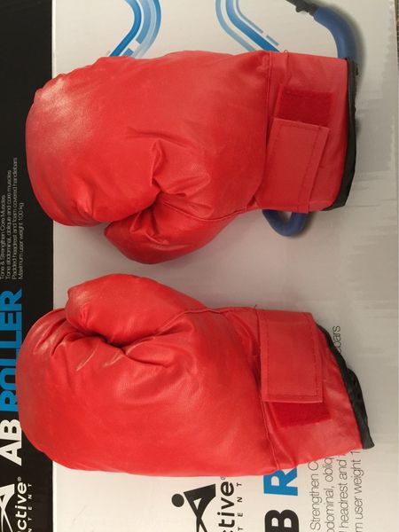 

boxing sanda martial arts boxing taekwondo training cartoon gloves and gloves performance sanda fighting red black and blue