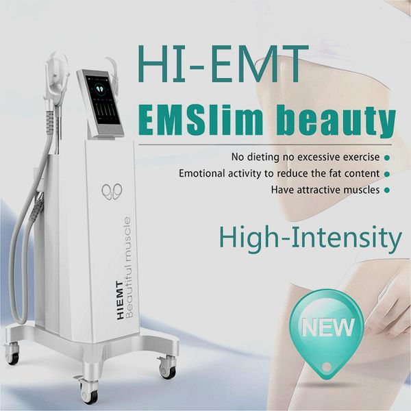 

body sculpt технология emslim em sculpt сжигание жира машина teslasculpt high intensity focused электромагнитный emslim устройства бесплатна