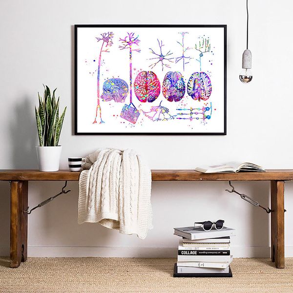 

brain anatomy neurons poster nervous system art paintings neuron types print histology picture neurosurgeon medical gift decor