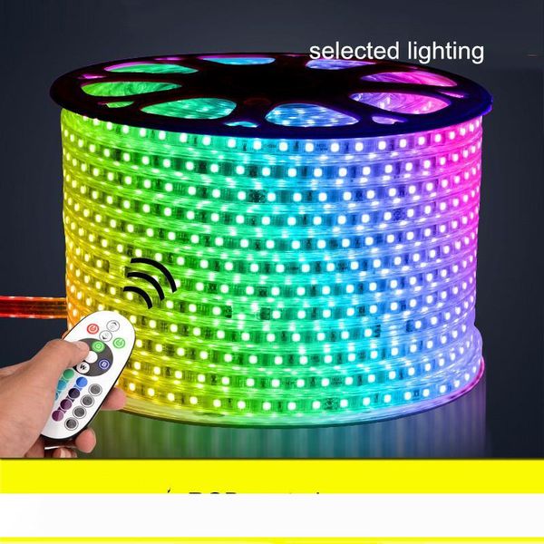 

60pcs m leds strip lamp 220v110v smd5050 ip65 waterproof rgb changeable led strip light with controller for outdoor