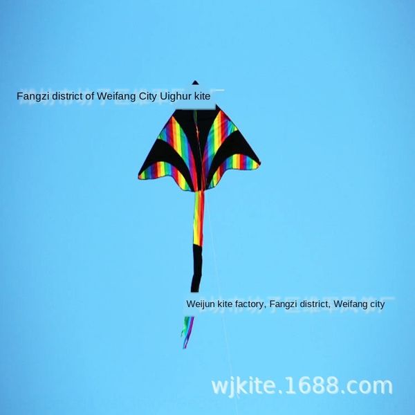 

weifang weifang colorful flying colorful flying rainbow kite new rainbow triangle kite easy to fly