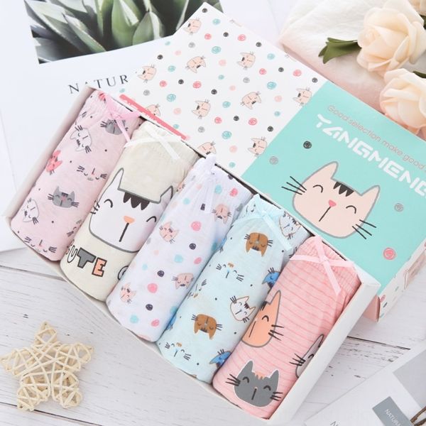 

korean pure cotton children's boxed cute kitten girl underwear breifs cartoon baby children's underwear underwear, Camo