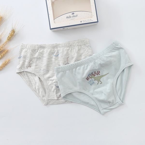 

мђлилм беле динозавѬ пеа breifs маликов облако 2019 оен мђжин окѬовие, Camo