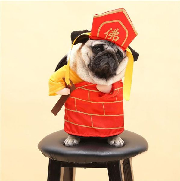 

2020 pet supplies riding costume wealth funny standing costume christmas halloween cat upright morphing costume