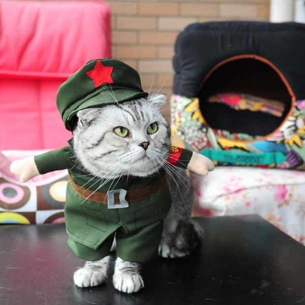 

halloween magic clothes for magician pet costume cat dog christmas gift coat cats dogs clothing