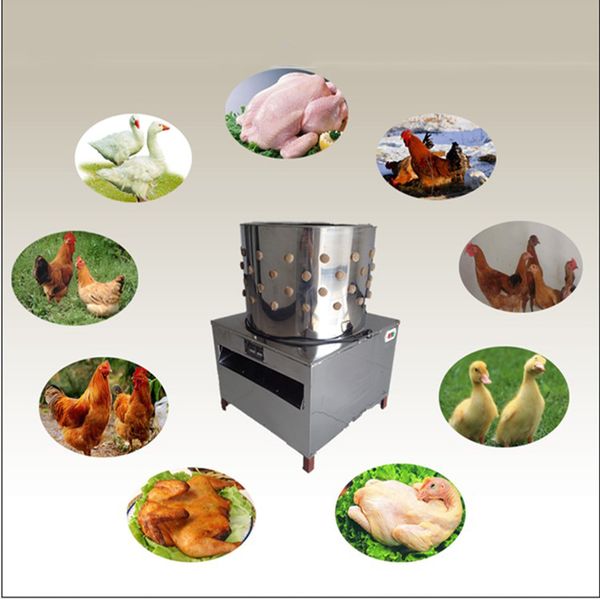 

2020 tm-50 model poultry depilation machine bird plucker ,hair removal machine,chicken defeathering,electric duck plucker