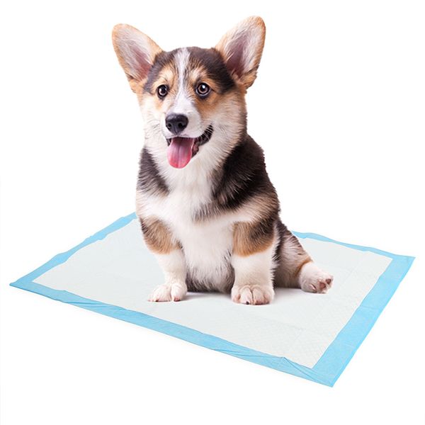 

10pcs / серия pet dog подгузники одноразовые тяжелые впитывающей способности гкие pet кинологический моча pad подгузники для собак очистка п