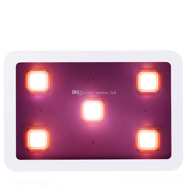 

full spectrum cob led grow light 900w 1200w 1500w 1800w with high par value for growing fresh herbs,vegetables,flower