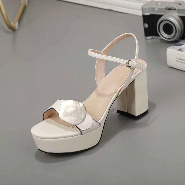 

designer high heeled sandals leather waterproof platform rough heel leather fashion woman metal buckle parties luxury sandals 42 cs04, Black