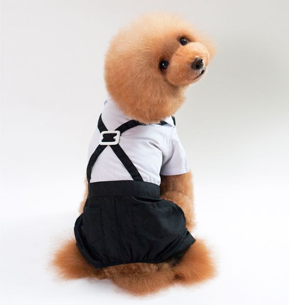 

pet dog clothes jumpsuit bow tie suit chihuahua warm coat lovely handsome pets dog wedding autumn clothing