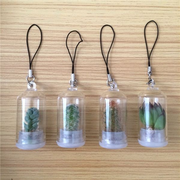 

zjjak creative mini fleshy plant pendants micro landscape fleshy small potted pendant glass bottle glass bottle car ornaments angel flower h, Silver