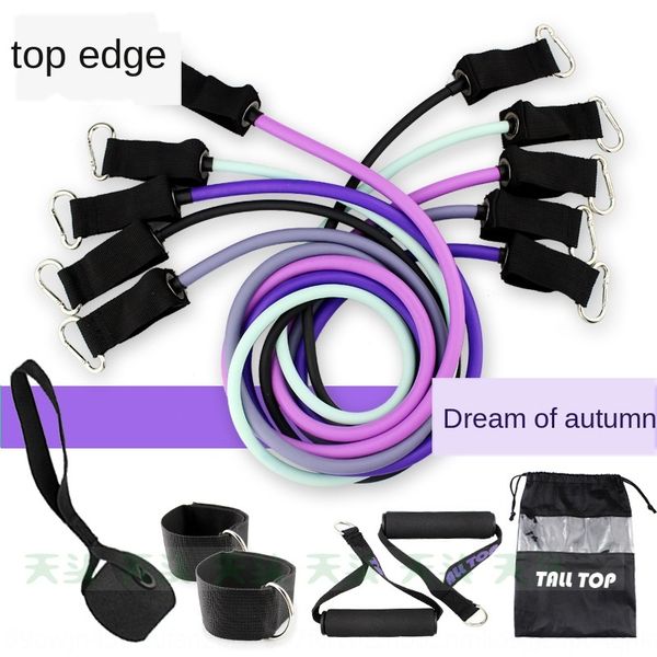 

multi-functional device fitness equipment ten sets of training tension rope set sports fitness equipment tension rope