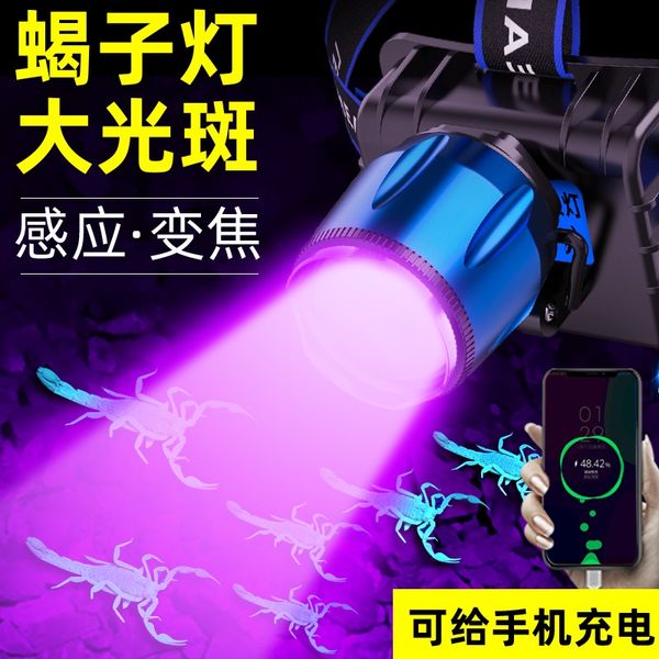 

double source 395 purple light source purple lamp ultraviolet strong light led head-mounted scorpion catcher lamp induction scorpion
