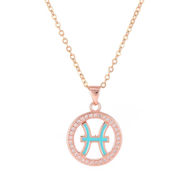 

zodiac 12 constellation jewelry micro pave zircon round circle enamel pisces signs pendant necklaces for women birthday gift, Silver