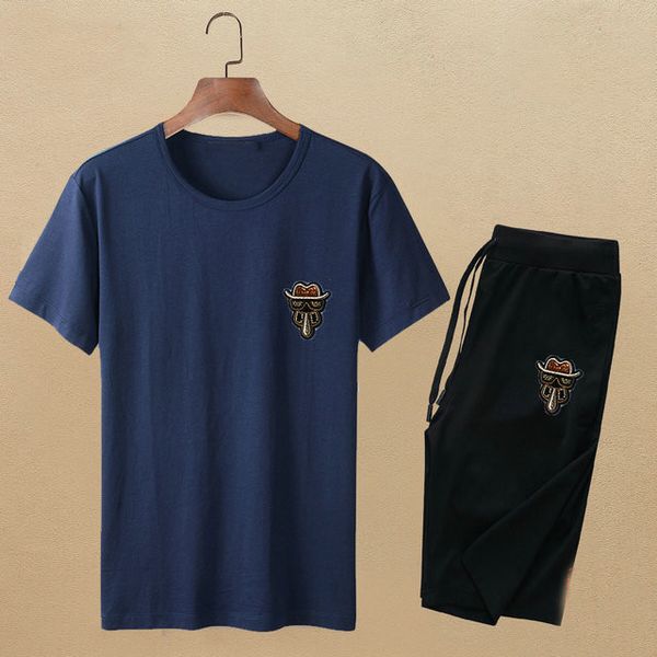 

men s clothing tracksuits designer tracksuit men men s summer designer shorts sets mens short sleeve tshirts pants tracksuit, Gray