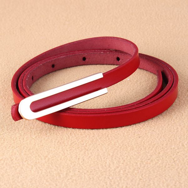 

new metal type u buckle belt pinkycolor pattern thin belt ladies dress decorative women faux leather straps waistband, Black;brown