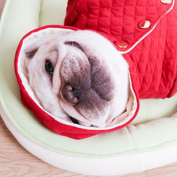 

bago fadou pet clothes winter velvet padded red cotton-padded teddy keji small and medium dog popular brand clothing