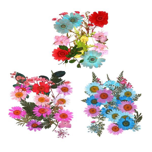 

75pc natural real pressed dried flowers diy scrapbooking
