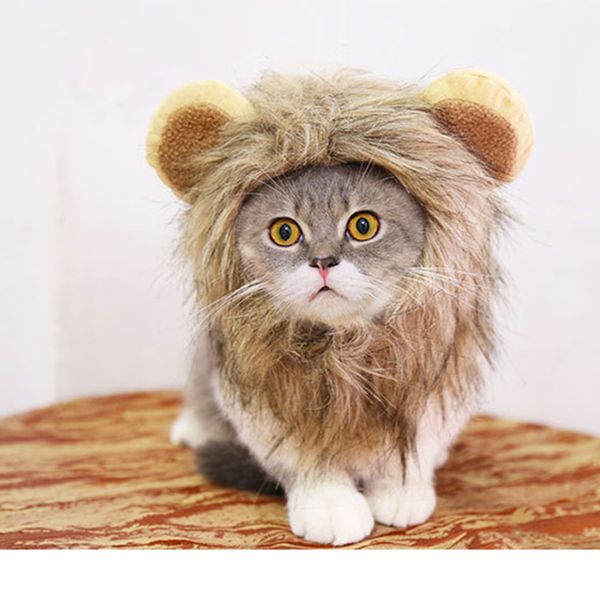 

seis cat wig lion mane hair hat with ear and tail funny halloween dog costume for small dogs golden retriever costume