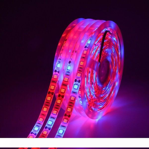 

led grow light full spectrum waterproof 5m led strip light 5050 led flower plant phyto growth lamps for greenhouse hydroponic plant growing
