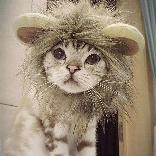 Gato engraçado bonito Pet Costume Lion Mane Wig Cap Hat para o gato para caes Natal Halloween do vestido extravagante com orelhas roupas para cães