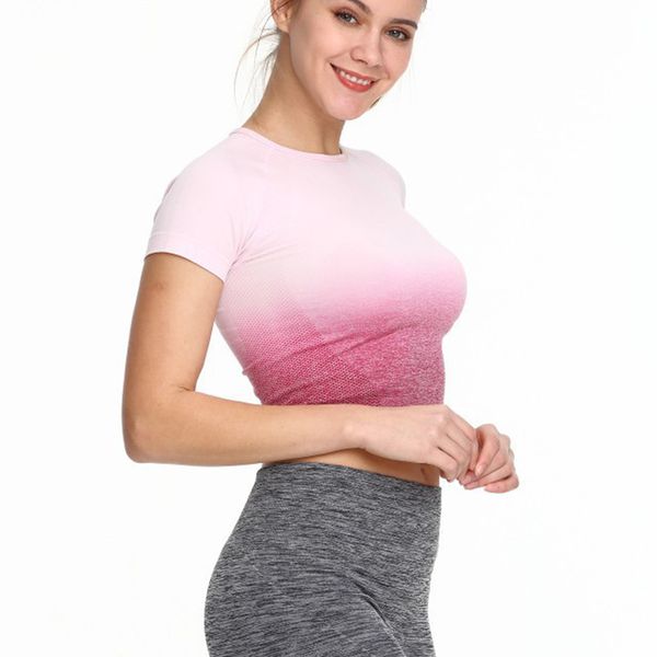 

women sport crop seamless short sleeve running sports sport wear ladies yoga t shirt fitness gym workout, White;red
