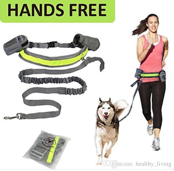 

hands pet dog cat running jogging padded waist belt reflective strip elastic leash perfect walking training dog leash set 029