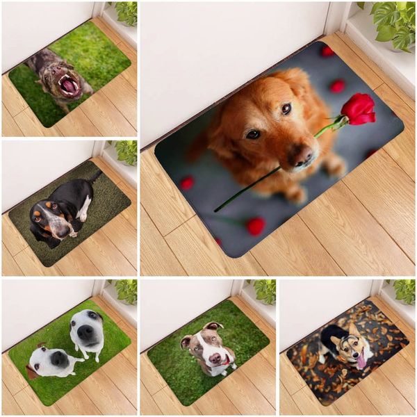 

40x 60 door 40x 60 door cute fl pet animal floor 3d cute pet dog printed rubber mat 3d animal floor mat