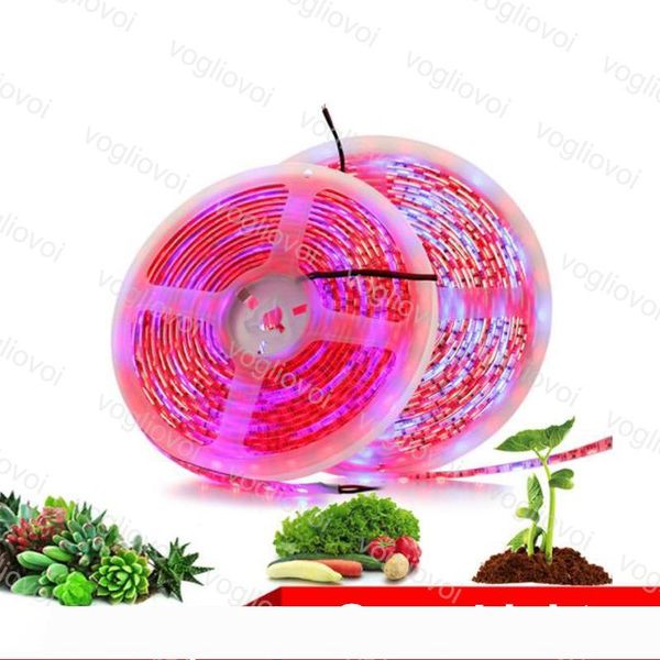 

led grow lights full spectrum 5m phyto lamps led strip light 300 leds 5050 chip fitolampy waterproof for greenhouse hydroponic plant dhl