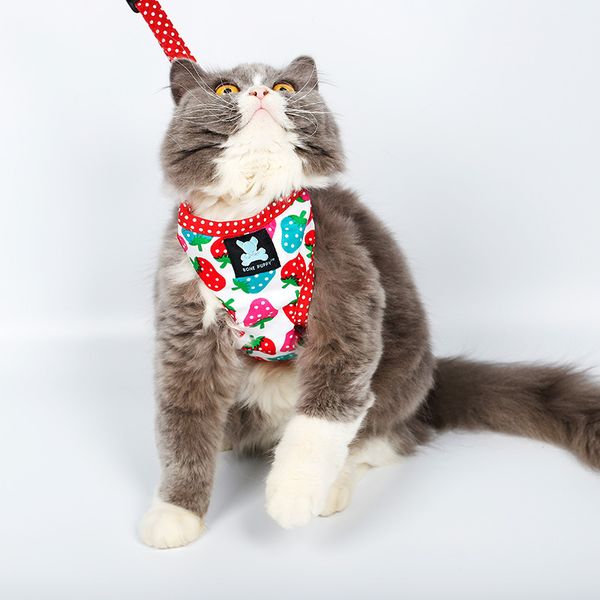 

sweet strawberry polka dot pet traction rope chest harness puppy cat chest back cover go out dog chain dog rope 3 color