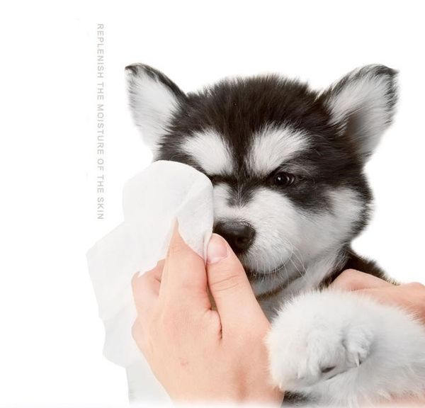 

70pcs pet собака кошка одноразовой мокрое полотенце влажные салфетки салфетка для чистки салфетки для удаления пятна салфетки pet салфетки п
