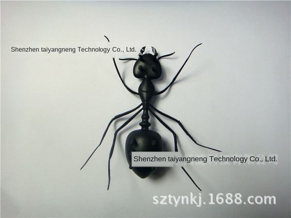 

solar sun solar ant sun ant ant