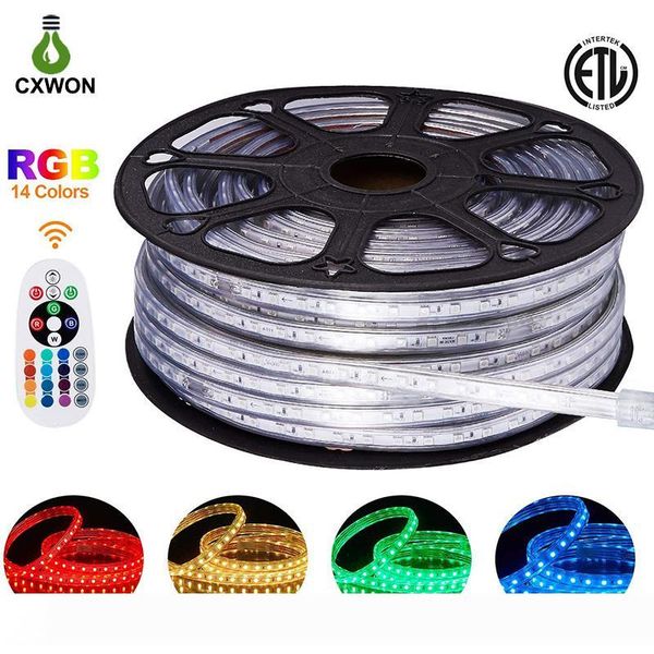 

220V 110V LED Strip Light 150ft SMD2835 SMD5050 120leds m LED Rope Light IP65 Warm White RGB Neon Decoration Indoor Outdoor LED Strip