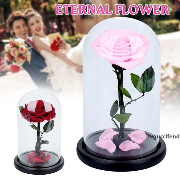 

red roses gift home decoration glass eternal flower preserved fresh flower rose glass cover romantic festival valentine s day