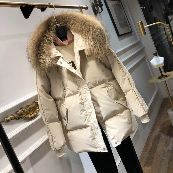 

winter jacket women fashion down jacket hooded parkas raccoon fur collar jackets and coats women female clothes yn71u4880 wpy909, Black