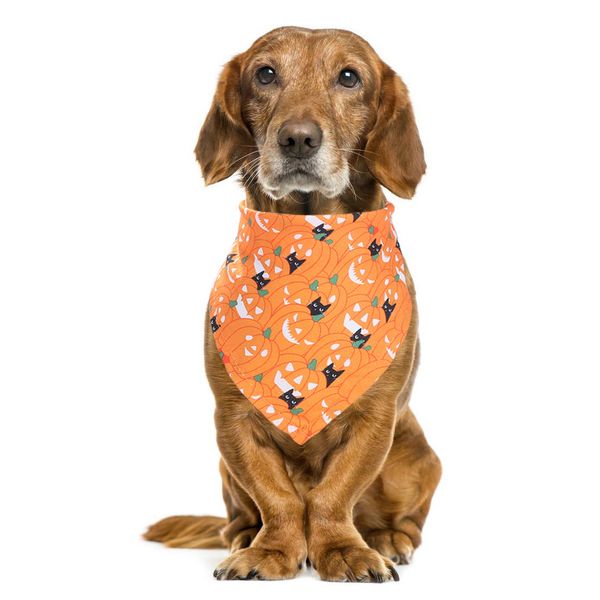 

selling halloween pet neck accessories festival lovely pet triangle scarf pet dog cat scarf collar