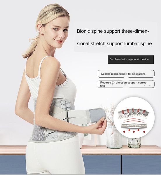 

bionic spine three-dimensional waist protection breathable thickened warm belt keep warm four seasons self-heating belt, Black;gray