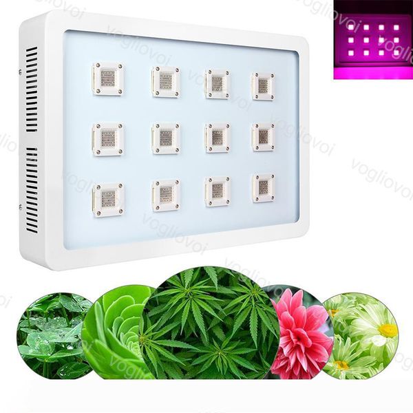 

full spectrum led grow lights 3600w x12 cob aluminium double switch for plant indoor outdoor hydroponic greenhouse lighting dhl
