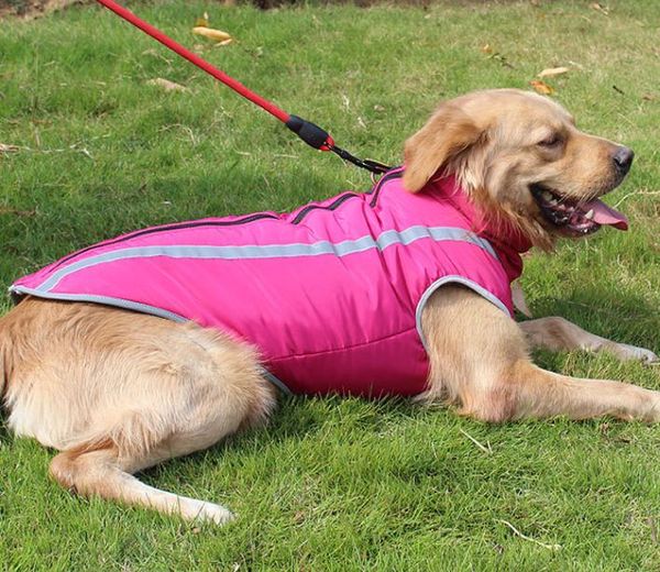 

factory autumn winter warm dog clothing windproof heat storage smooth pull neck adjustable reflective pet clothing xl-5xl size