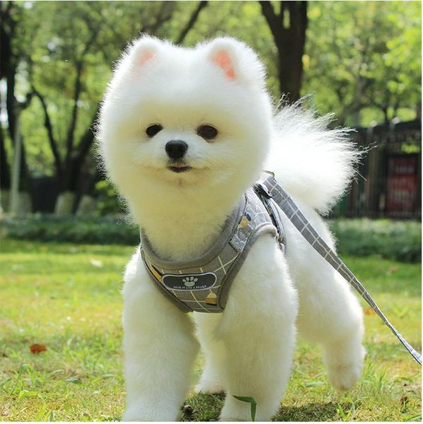 

upgraded pet reflective chest strap breathable seat belt pet supplies vest type cat dog leather strap