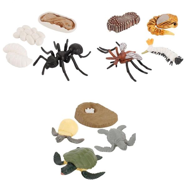 

education kids simulation animals growth process toy playkit nature gifts
