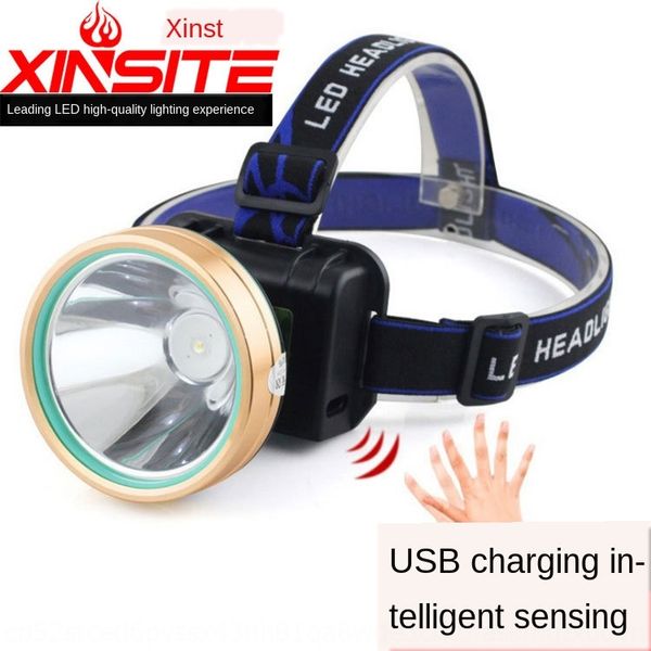 

4pxwe белый желтый синий привело рыбалки лампы на открытом воздухе высокой мощности сильный свет индукции фары usb белый желтый синий светод