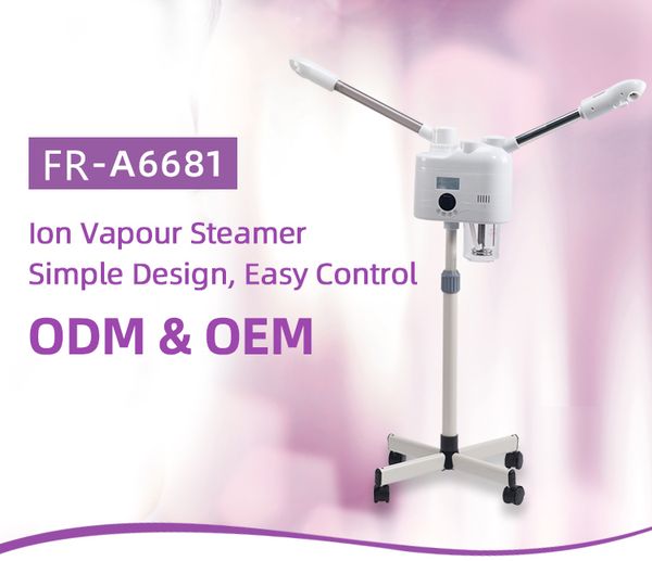 

most of 2020 2 handle and cold facial steamer machine