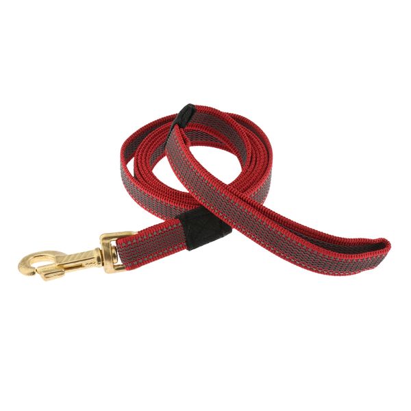 

dog puppy training correction leash lead pet outdoor walking nylon rope cord