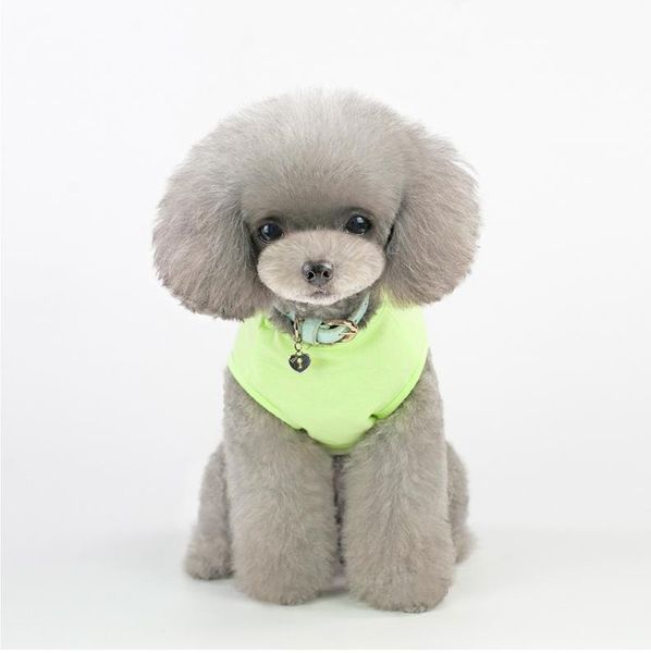 

2020 fashions pet vest spring/summer dog cat clothes teddy bear breathable cartoon cotton pet vest