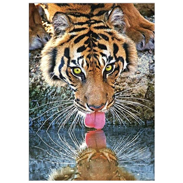 

round full diamond 5d diy diamond painting tiger lion cartoon diamond embroidery set mosaic home decoration gift