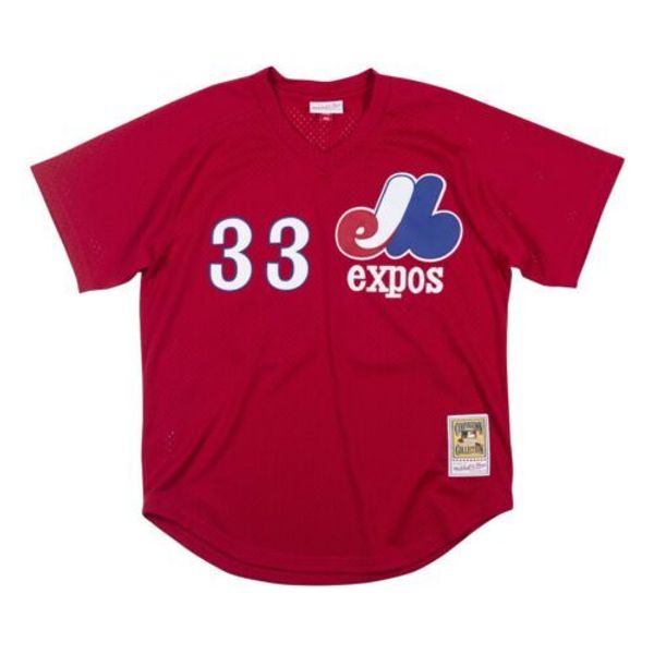 

larry walker mitchell & ness 1989 mesh mens stitched xs-6xl baseball jerseys, Gray